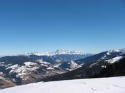 Img 3881