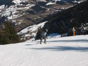 Img 3882