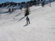Img 3886