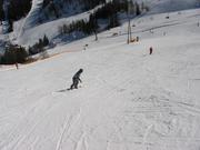 Img 3887