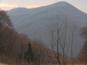 Img 3843