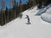 Img 3857