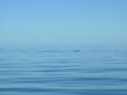 Dscn3391