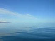 Dscn3394