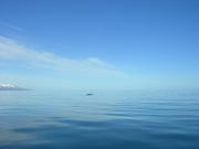 Dscn3395