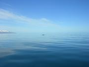Dscn3396