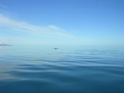 Dscn3397