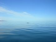 Dscn3398
