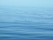 Dscn3409