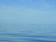 Dscn3416