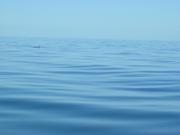 Dscn3419