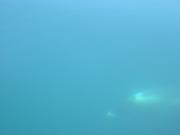 Dscn3427