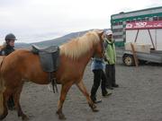 Dscn3445