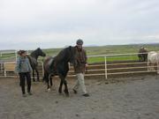 Dscn3446