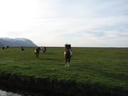 Img 0214