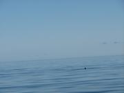 Img 0284