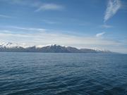 Img 0370