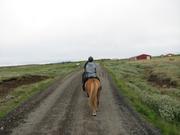 Img 0804