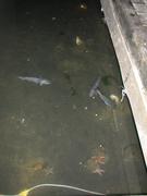 Img 0834