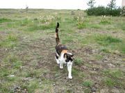 Img 0858