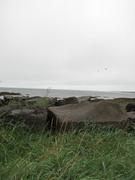 Img 9582