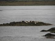 Img 9586