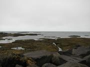 Img 9587