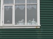 Img 9601