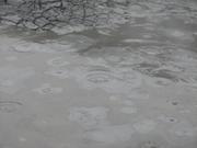 Img 9633
