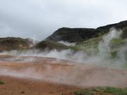 Img 9681
