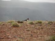 Img 9687