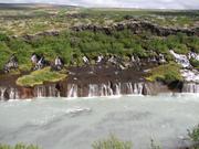 Img 9766