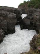 Img 9776
