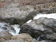 Img 9782