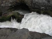 Img 9784