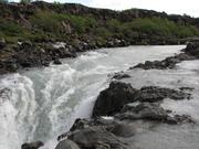 Img 9787