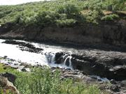 Img 9802