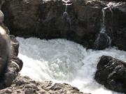 Img 9818