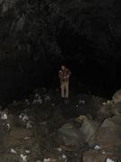 Img 9846