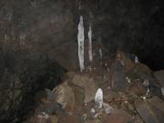 Img 9861