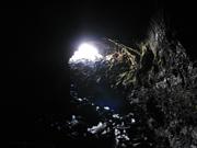 Img 9863
