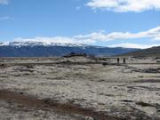 Img 9865