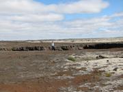 Img 9866