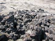 Img 9871