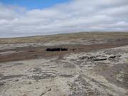 Img 9872