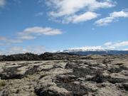 Img 9876