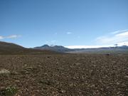 Img 9884
