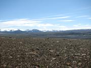 Img 9886