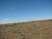Img 9890