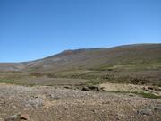Img 9891